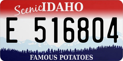 ID license plate E516804