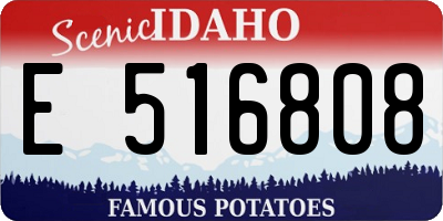 ID license plate E516808