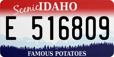 ID license plate E516809