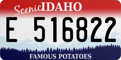 ID license plate E516822