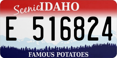 ID license plate E516824