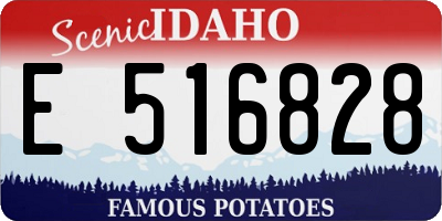 ID license plate E516828