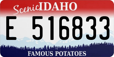 ID license plate E516833