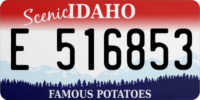 ID license plate E516853