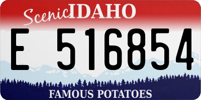 ID license plate E516854