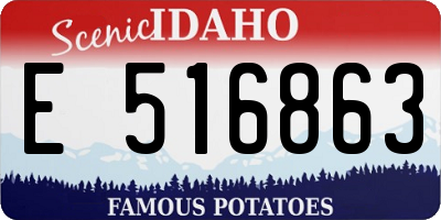ID license plate E516863