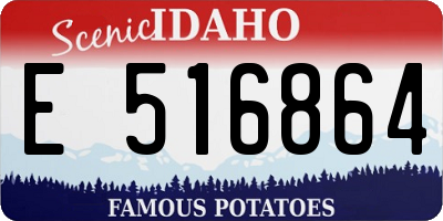 ID license plate E516864