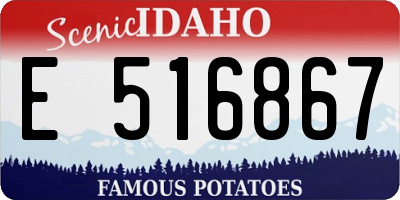 ID license plate E516867