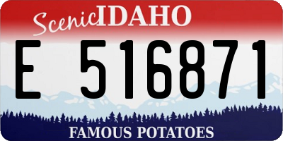 ID license plate E516871