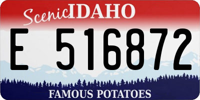 ID license plate E516872