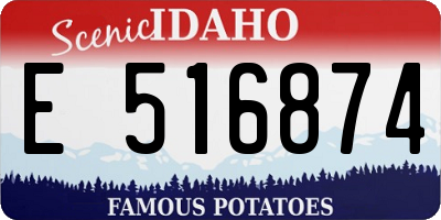 ID license plate E516874