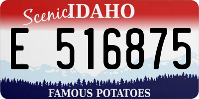 ID license plate E516875