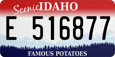 ID license plate E516877