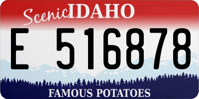 ID license plate E516878