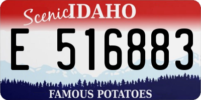 ID license plate E516883