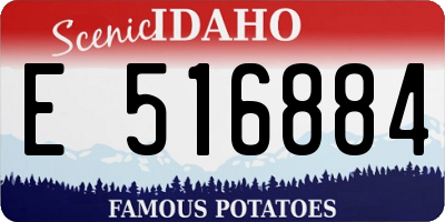 ID license plate E516884