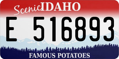 ID license plate E516893