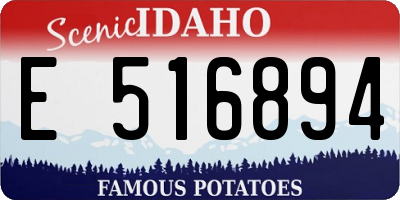 ID license plate E516894