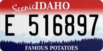ID license plate E516897
