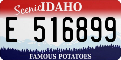 ID license plate E516899
