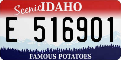 ID license plate E516901
