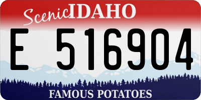 ID license plate E516904