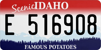 ID license plate E516908