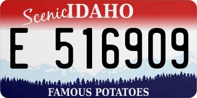 ID license plate E516909