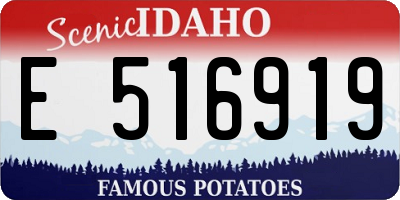 ID license plate E516919