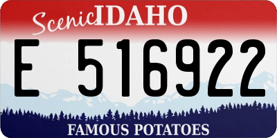 ID license plate E516922