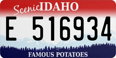 ID license plate E516934