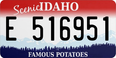 ID license plate E516951