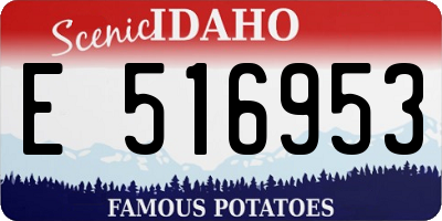 ID license plate E516953