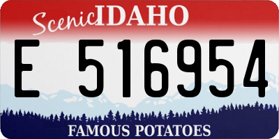 ID license plate E516954
