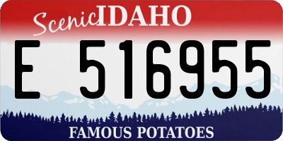 ID license plate E516955