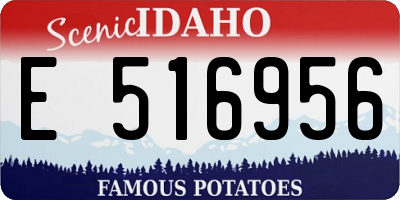 ID license plate E516956