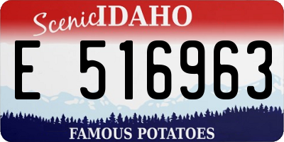 ID license plate E516963