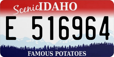ID license plate E516964