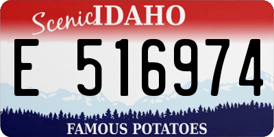 ID license plate E516974