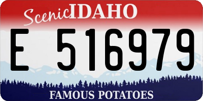ID license plate E516979