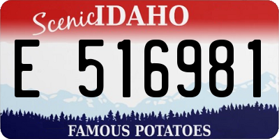 ID license plate E516981