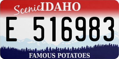 ID license plate E516983