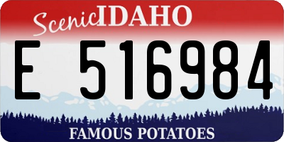 ID license plate E516984