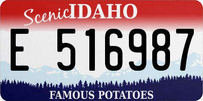 ID license plate E516987