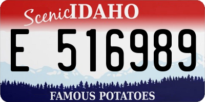 ID license plate E516989