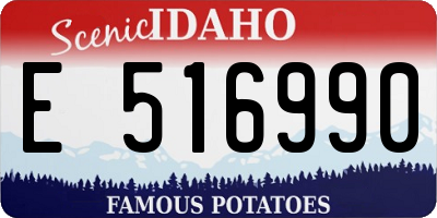 ID license plate E516990