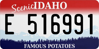 ID license plate E516991