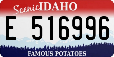 ID license plate E516996