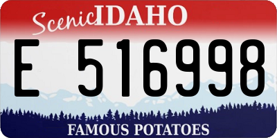 ID license plate E516998