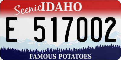 ID license plate E517002
